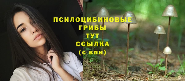 герыч Вязьма