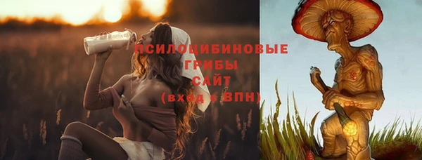 прущая мука Вяземский