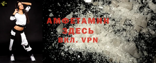амф Горняк