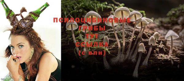 герыч Вязьма