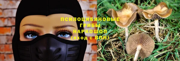 ECSTASY Горнозаводск