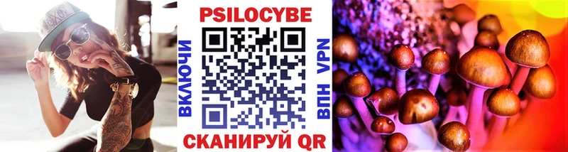 купить наркоту  Закаменск  кракен ТОР  Псилоцибиновые грибы Cubensis 
